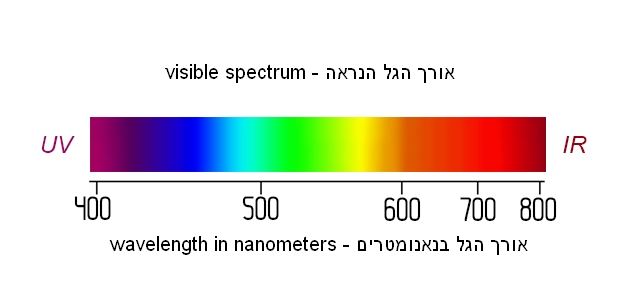 אורך הגל הנראה לעין